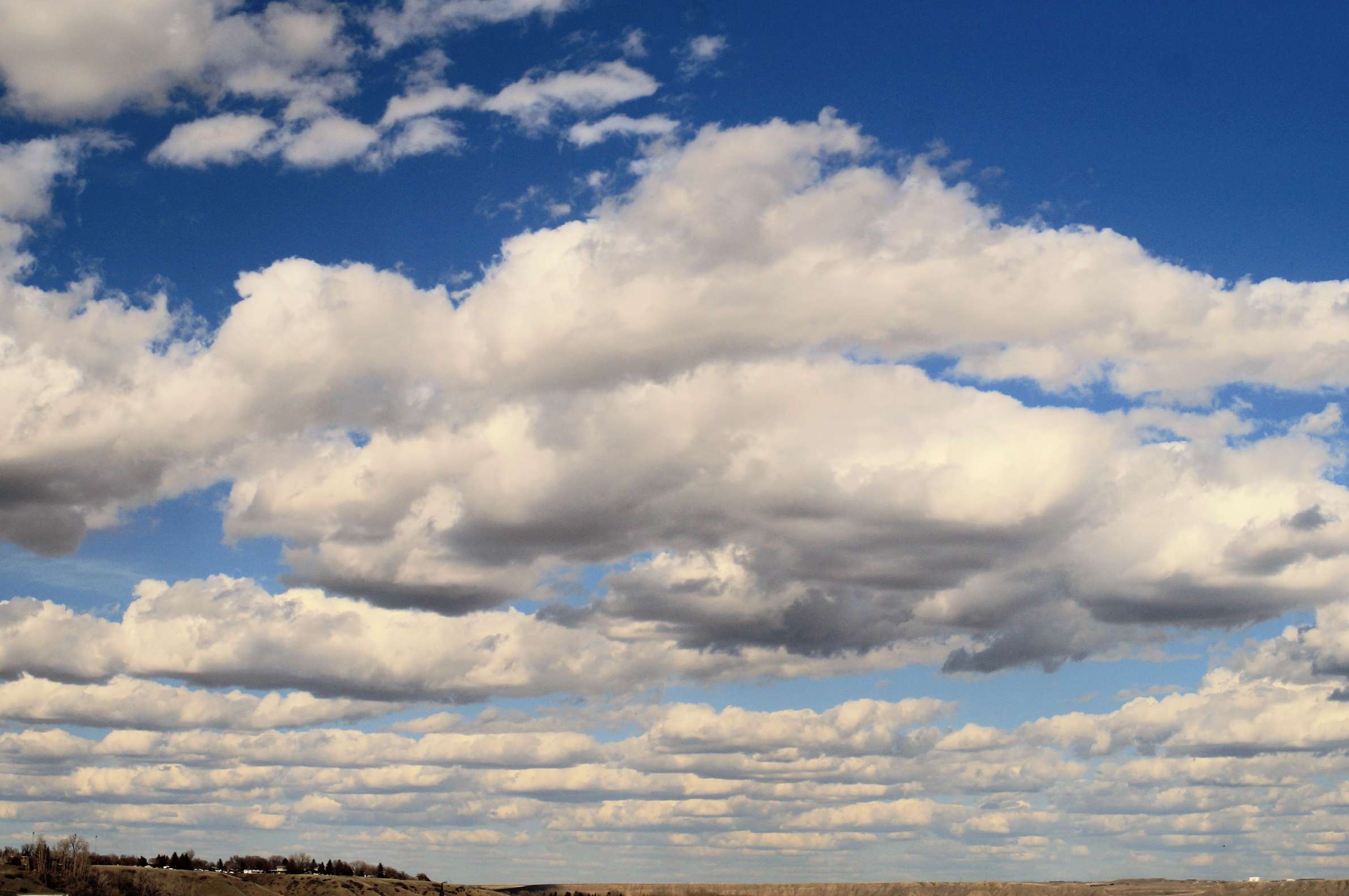 https://haven.downisontheup.ca/238a0fc5af965d99f87d139288ab399ecba66473b6f05e25b182178212ff1255.jpg