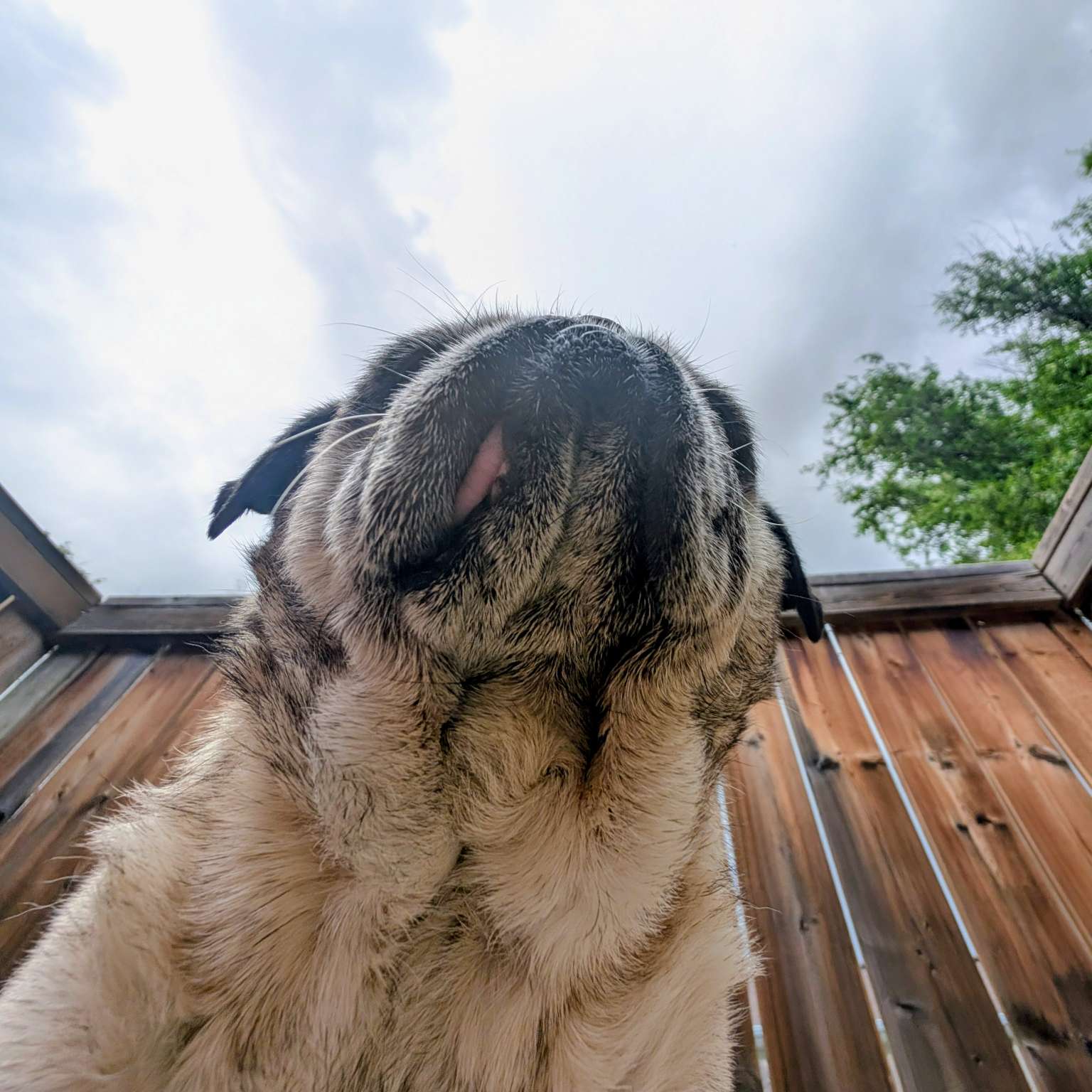 https://haven.downisontheup.ca/4857fb5b573094b1cce558287059db2416d971ac23e0d9064392a6a6298dd430.jpg